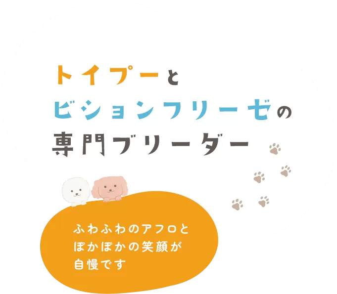 トイプーとビションフリーゼの専門ブリーダー
ふわふわのアフロとぽかぽかの笑顔が自慢です