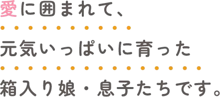 愛に囲まれて、元気いっぱいに育った箱入り娘・息子たちです