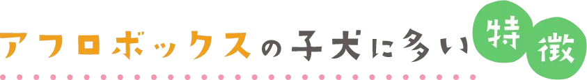 アフロボックスの子犬に多い特徴